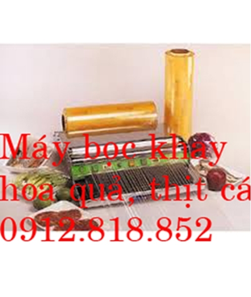 Máy bọc khay hoa quả, thịt cá